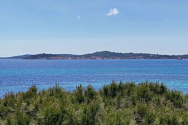Vibrant blue sea and sky, with a distant island town on the horizon, framed by lush green pine trees in the foreground.
