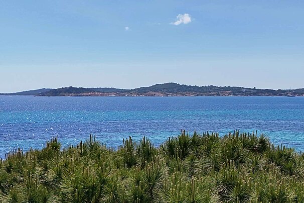 A view of a body of water with trees in the foreground