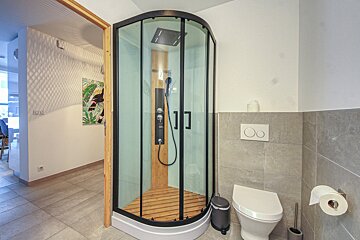A bathroom with a walk in shower and a toilet
