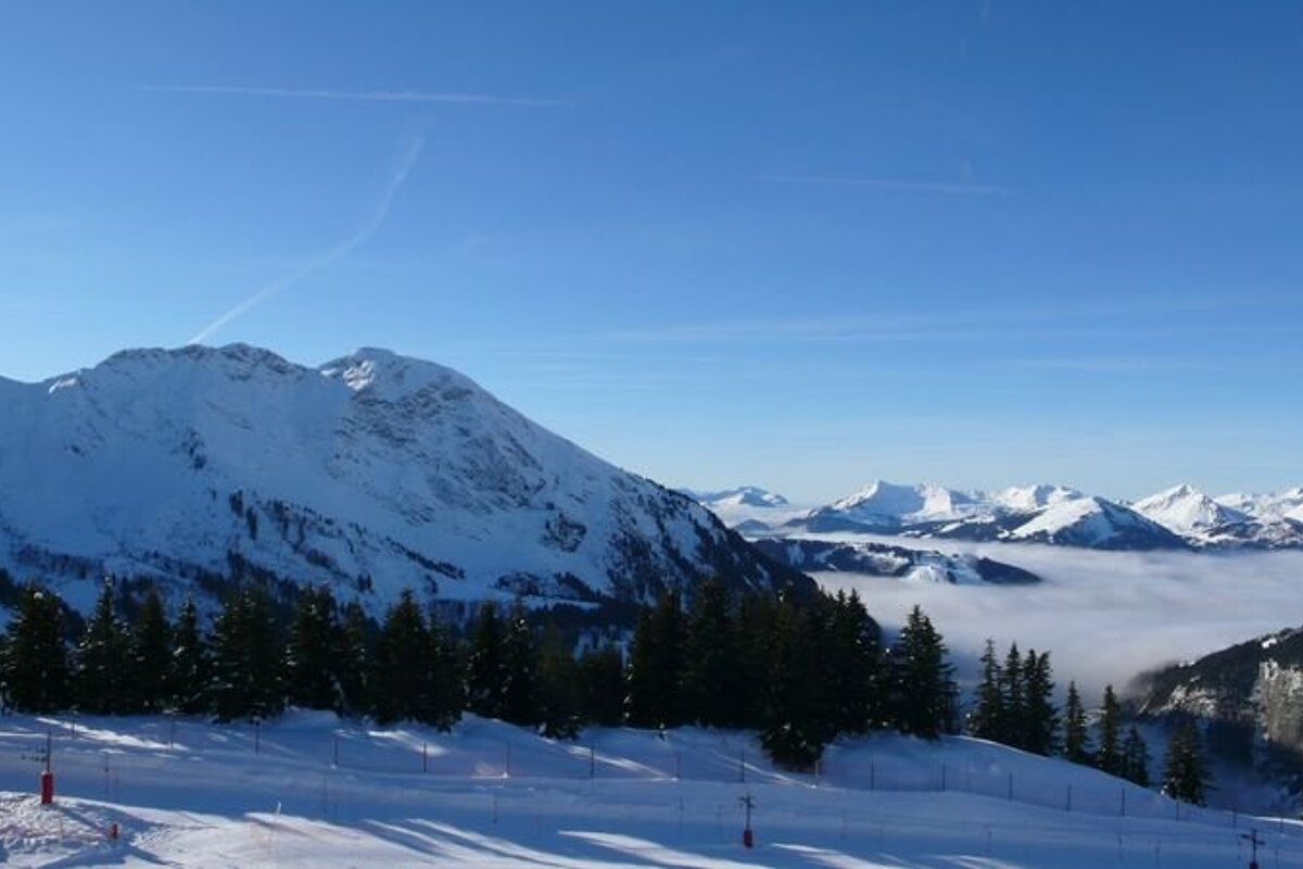 Panoramic view of snow-capped mountains, evergreen trees, and ski slopes under a clear blue sky, with a valley filled by a sea of fog.