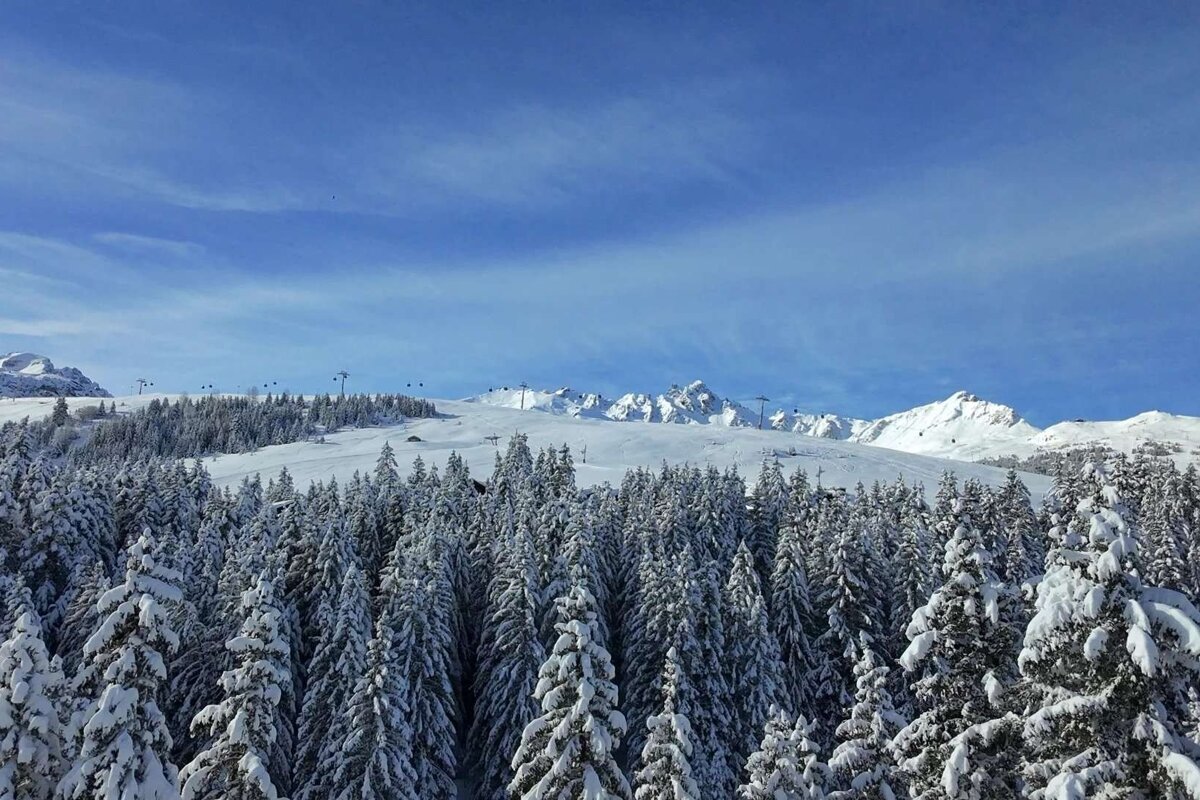 A breathtaking winter mountain scene with snow-covered pine trees, leading to white ski slopes and distant peaks under a vivid blue sky.