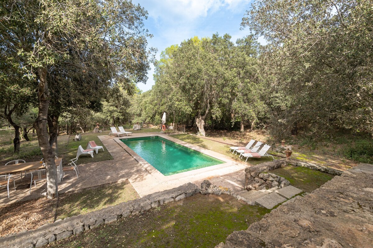 A large swimming pool surrounded by trees and chairs