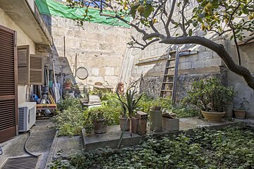 A garden with potted plants and a ladder