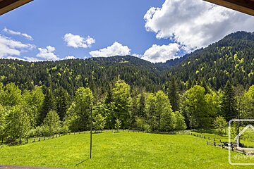 A view of a lush green forest from a balcony