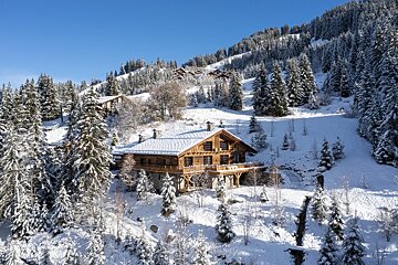 A snowy landscape with a house in the foreground
