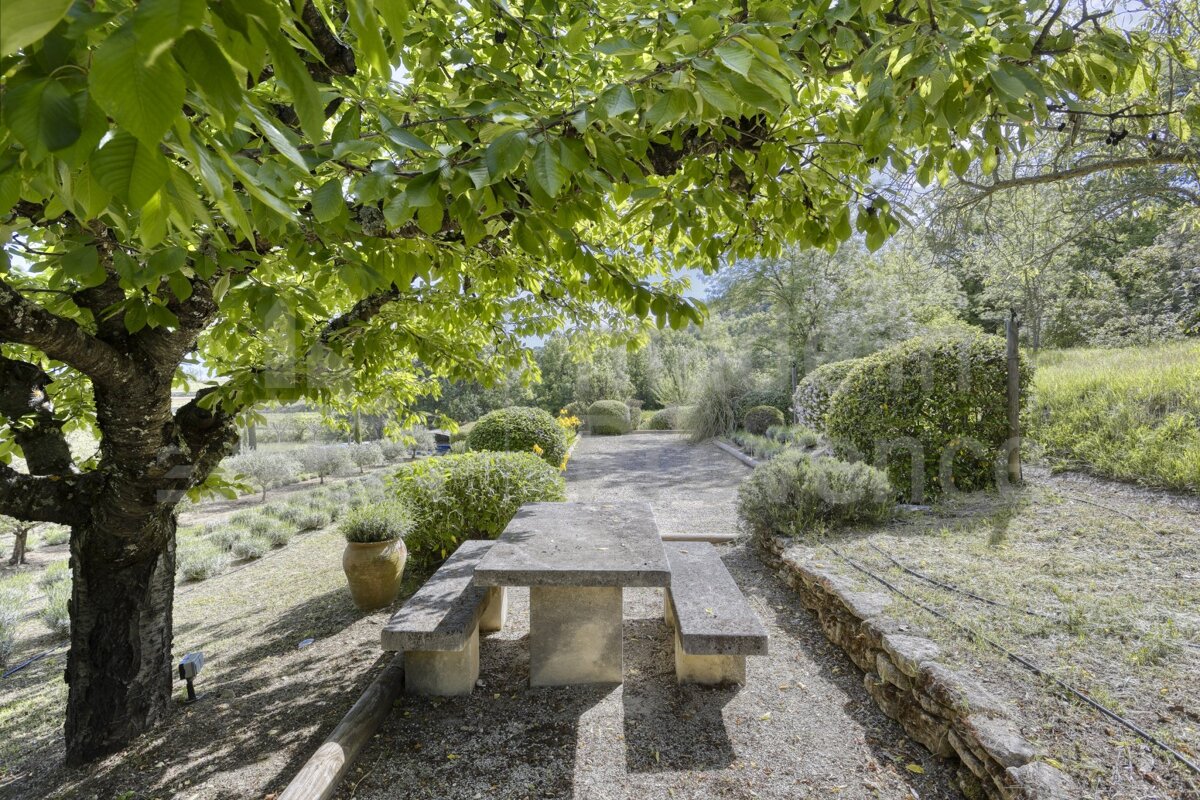 A stone picnic table sits under a tree in a garden