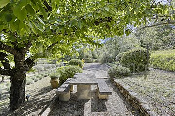 A stone picnic table sits under a tree in a garden