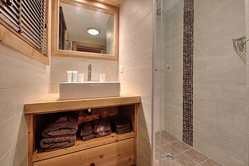 A bathroom with a sink a mirror and a walk in shower