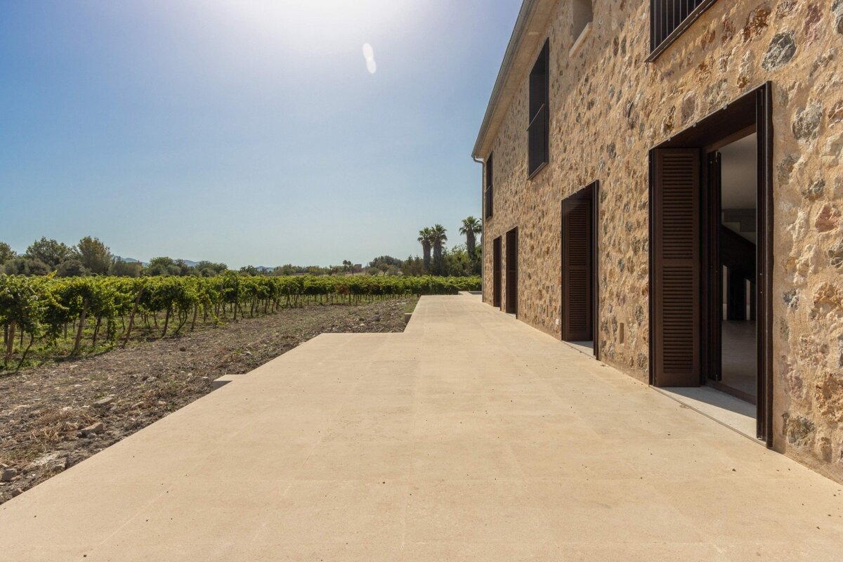 A sunny view of a rustic stone building, a concrete patio, and a vibrant vineyard under a clear blue sky.