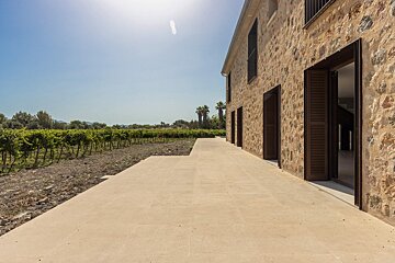 A rustic stone building with a concrete patio overlooks a green vineyard under a bright, sunny sky, featuring open shutters and distant palm trees.