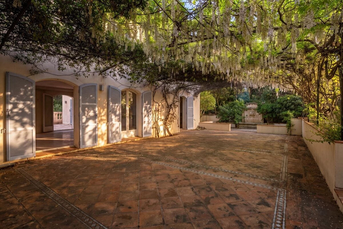 A sunny, wisteria-covered patio with terracotta tiles and a building with open shutters. White flowers hang overhead, casting dappled light.