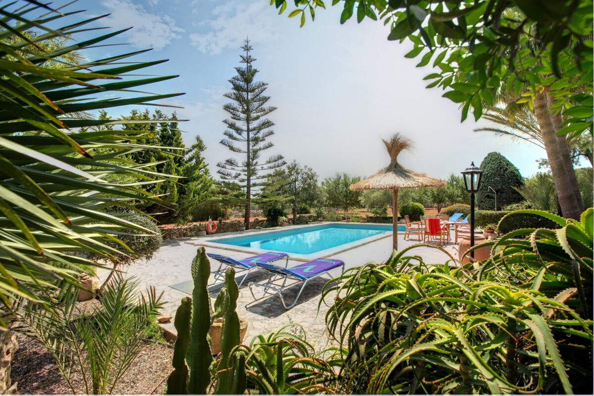 A swimming pool is surrounded by a lush green garden