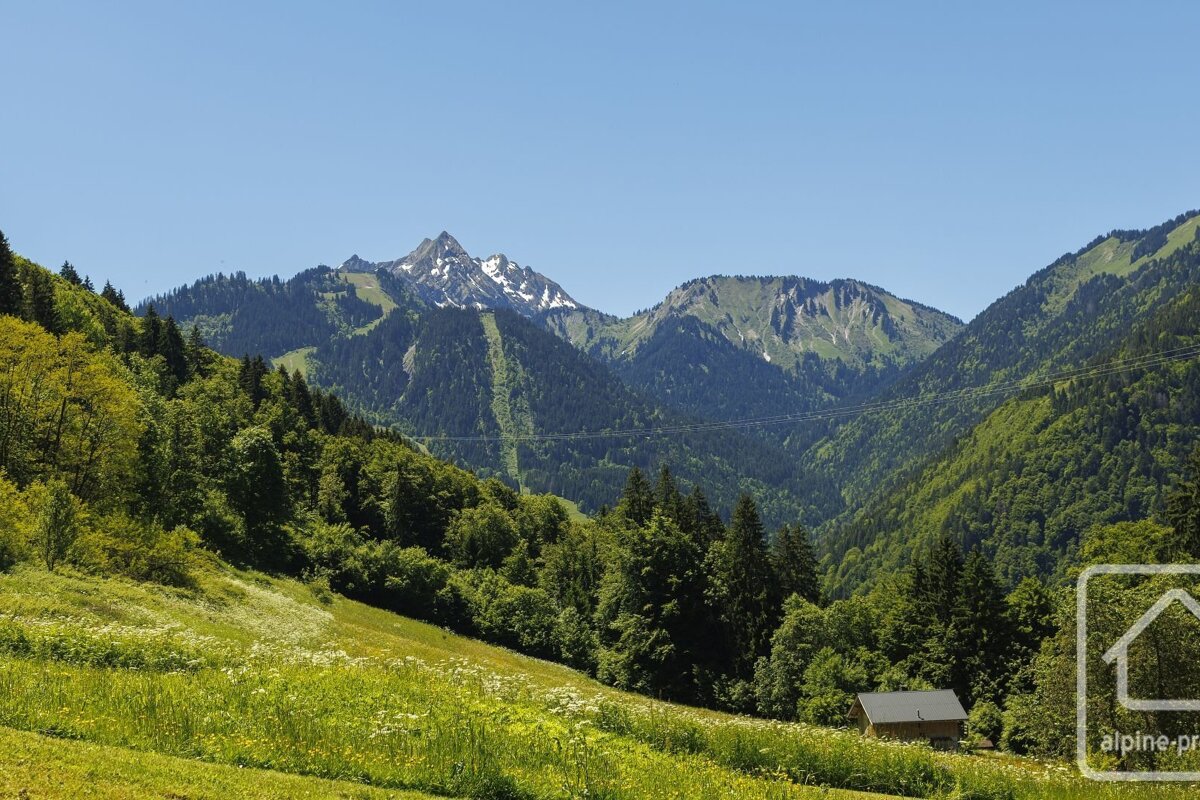 Bright green alpine meadow and forests slope towards majestic mountains with snow patches and ski runs, under a clear blue sky. A small cabin rests below.