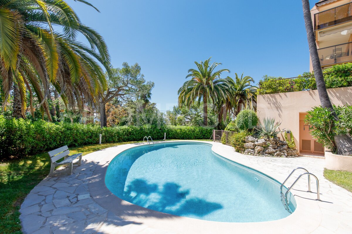 A large swimming pool is surrounded by palm trees