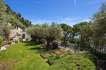 Green hillside garden with olive trees, a white house, and a distant sea view under a clear blue sky.