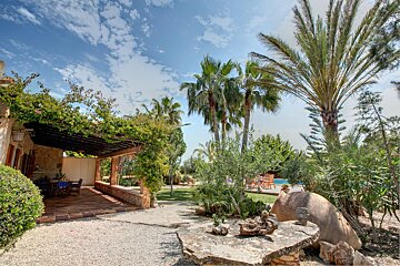 A patio area with a pergola and palm trees