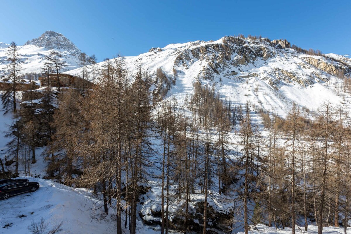 A scenic winter mountain landscape with snow-covered peaks, a forest of bare trees, and a clear blue sky. A car is parked on the snowy ground.