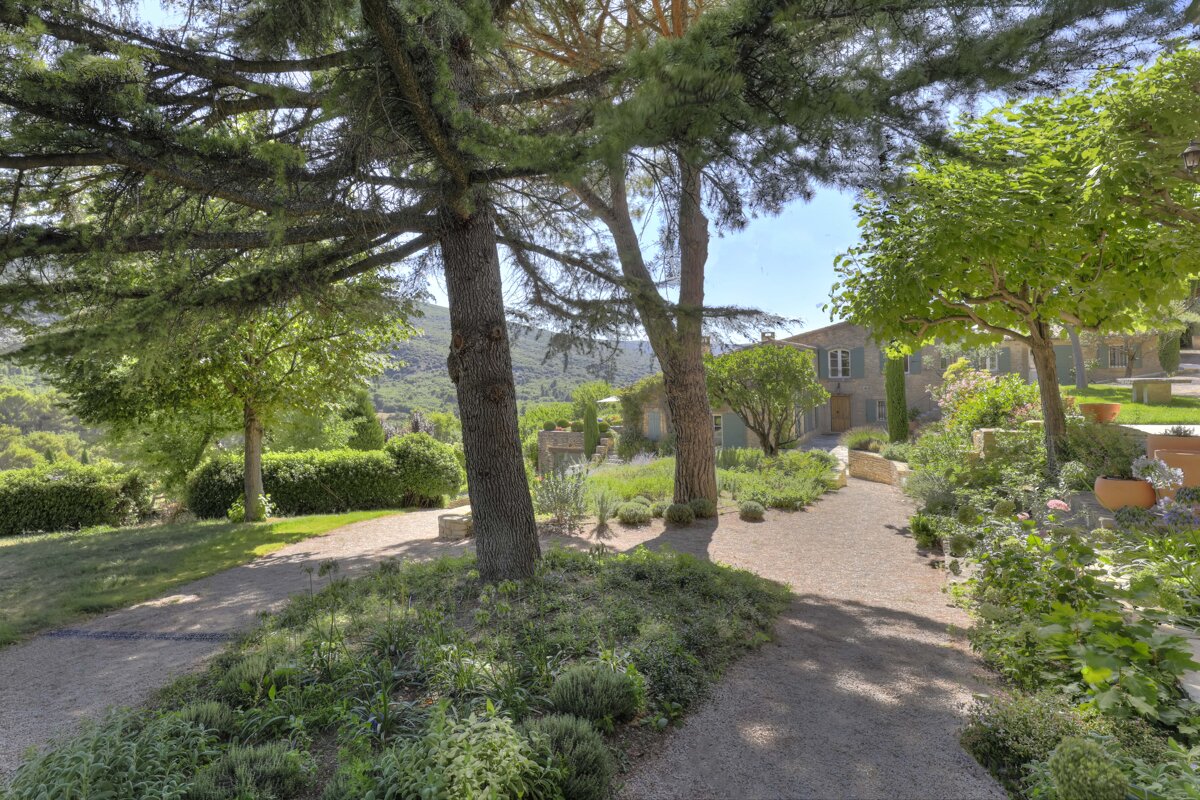 A path surrounded by trees and bushes leads to a house