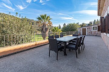 A patio with a table and chairs and a palm tree in the background