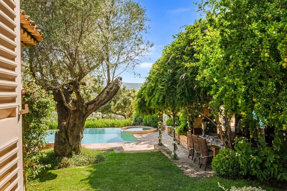 Lush outdoor space with a sparkling pool, jacuzzi, ancient olive tree, and a covered dining area with string lights under a bright blue sky.