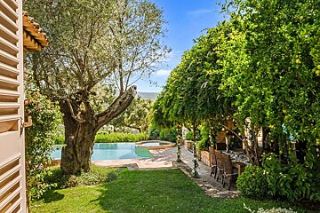 Lush outdoor space with a sparkling pool, jacuzzi, ancient olive tree, and a covered dining area with string lights under a bright blue sky.