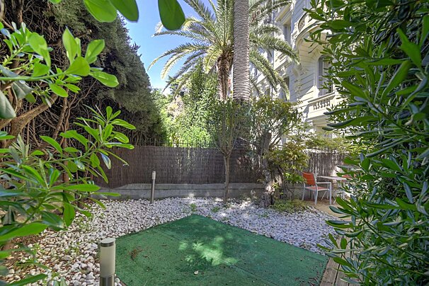 A lush green garden with a palm tree in the background