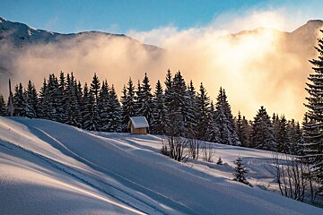 A snowy landscape with trees and mountains in the background
