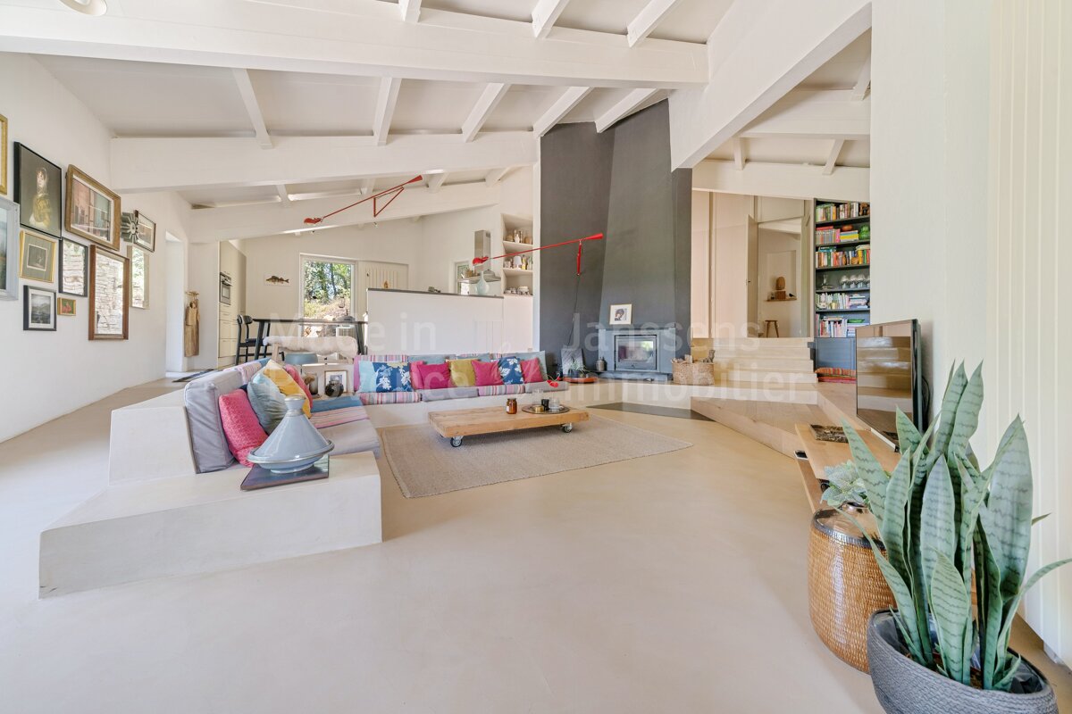 A living room with a couch and a plant and a sign that says stein