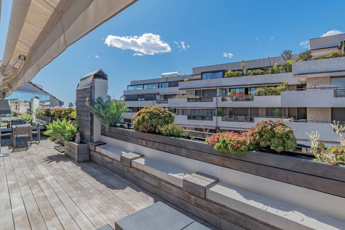A sunny rooftop terrace with wooden decking, planters with green succulents, and views of modern apartment buildings.