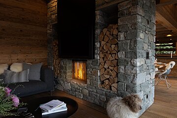 A dog sits in front of a fireplace in a living room
