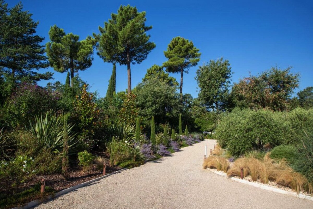 A gravel driveway surrounded by trees and bushes on a sunny day