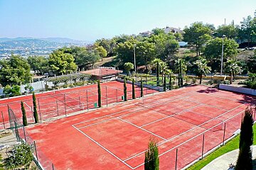 A large red tennis court with palm trees in the background