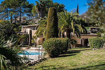 A large house is surrounded by palm trees and a pool