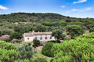 A house sits in the middle of a lush green forest