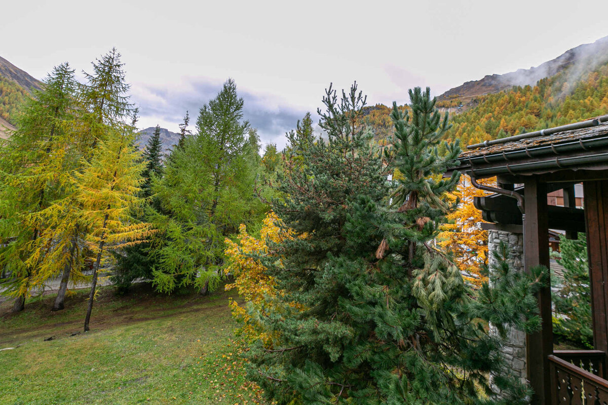 A balcony overlooking a lush green forest with mountains in the background