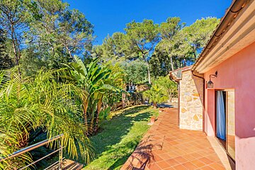 A pink house sits in the middle of a lush green forest