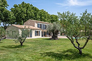 A charming stone house with green shutters stands on a sunny green lawn, surrounded by mature olive trees and backed by tall leafy trees.
