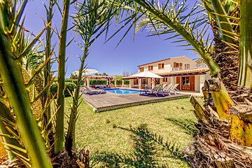 A sunny villa with a sparkling pool, green lawn, and sun loungers, framed by lush palm trees, all under a clear blue sky.