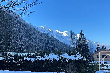 Snow-covered alpine mountains rise behind a dense pine forest, with a wooden chalet nestled under a clear blue winter sky.