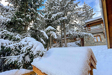 Snow covered trees and a house in the background