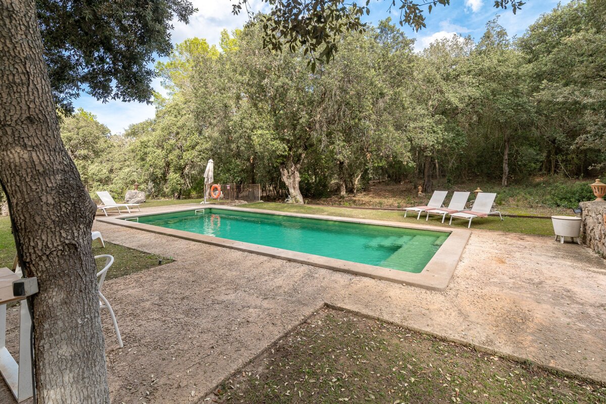 A large swimming pool is surrounded by trees and chairs