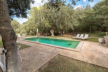 A large swimming pool is surrounded by trees and chairs