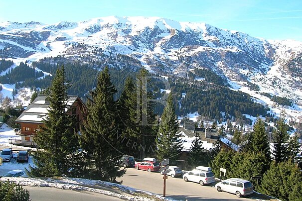 Cars are parked in front of a snowy mountain with a sign that says international