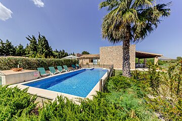 A large swimming pool surrounded by chairs and palm trees