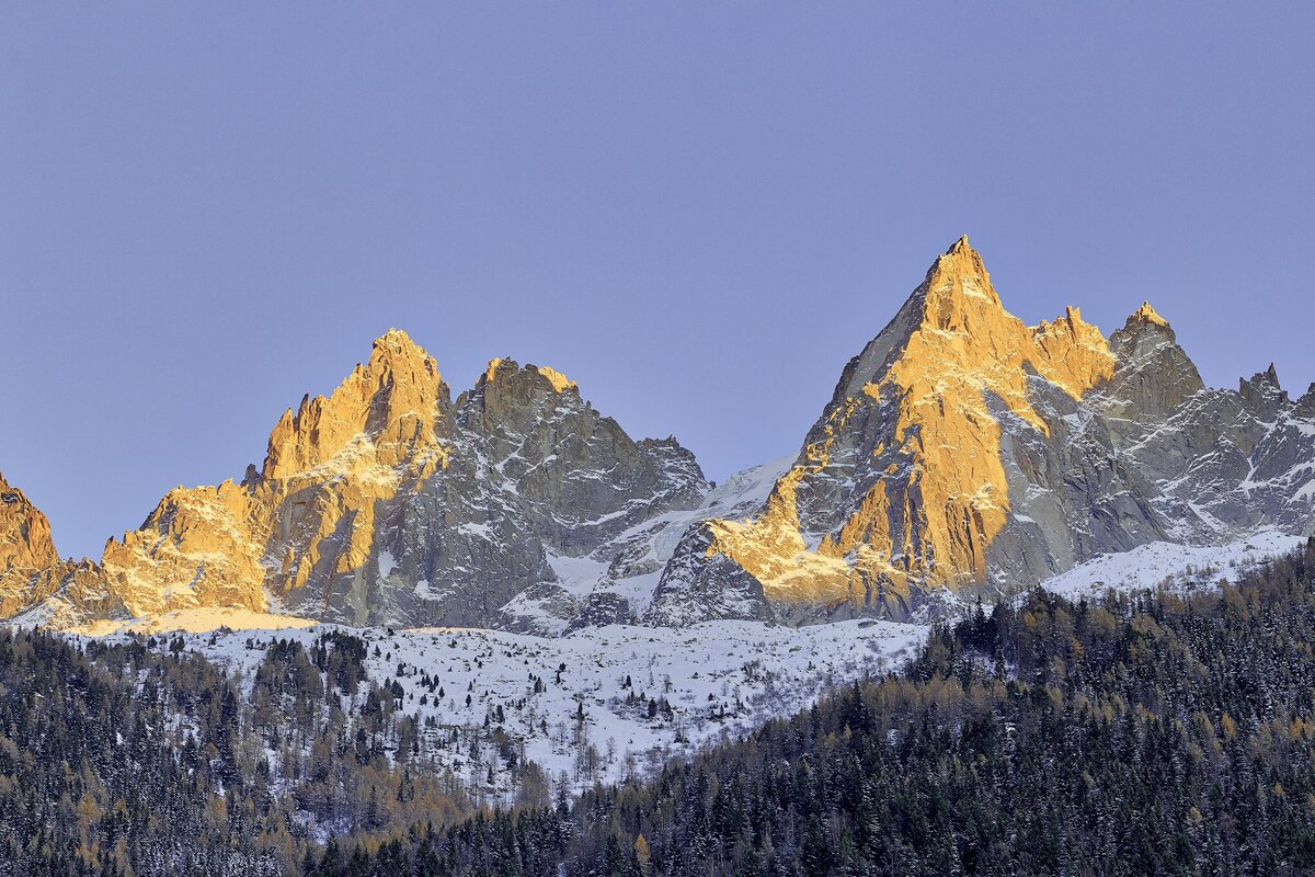 A mountain covered in snow and trees with a blue sky in the background