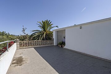 A balcony with a palm tree in the background