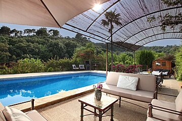 A swimming pool with a canopy over it