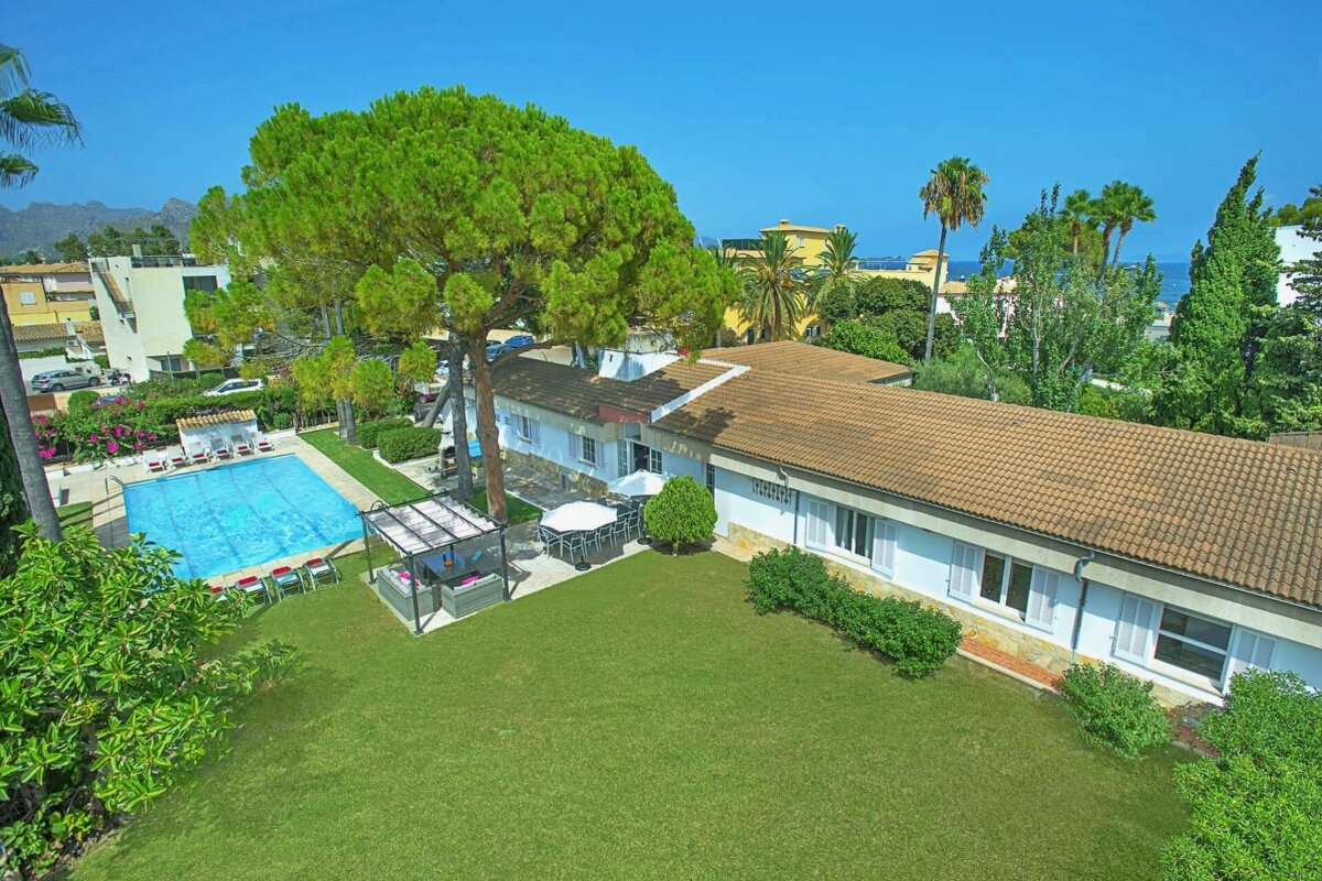 Aerial view of a sunny villa with a pool, lush lawn, large pine tree, outdoor seating, and distant sea under a clear blue sky.