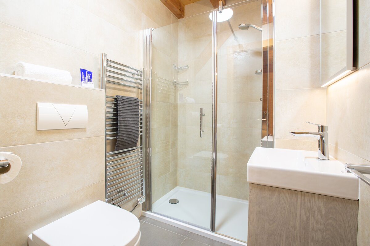 A bathroom with a toilet a sink and a walk in shower