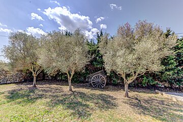 A wooden cart sits in the middle of a field surrounded by trees